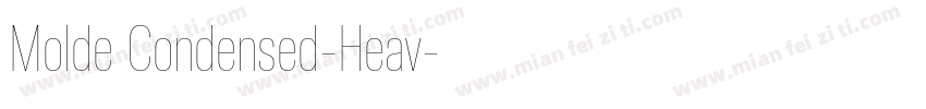 Molde Condensed-Heav字体转换